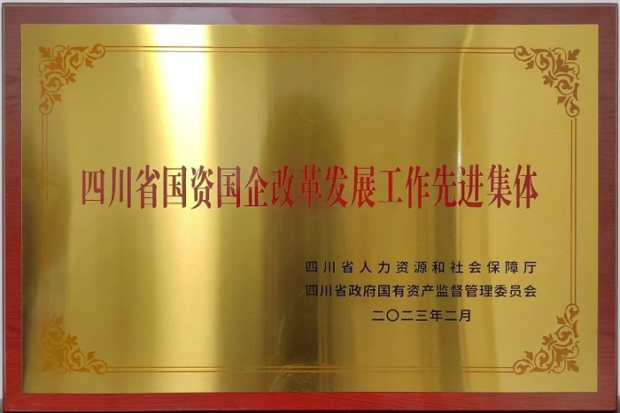 2.17 成渝公司荣获四川省国资国企改革发展工作先进集体.jpg